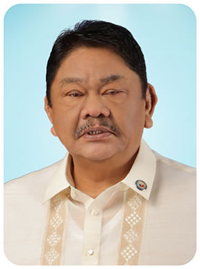 Hon. Reynaldo S. Tamayo Sr.